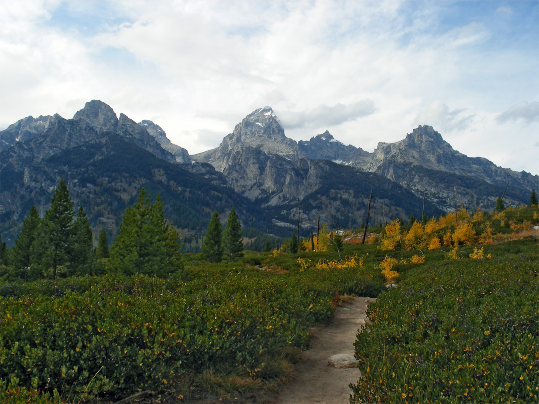 Trail to Taggart Lake