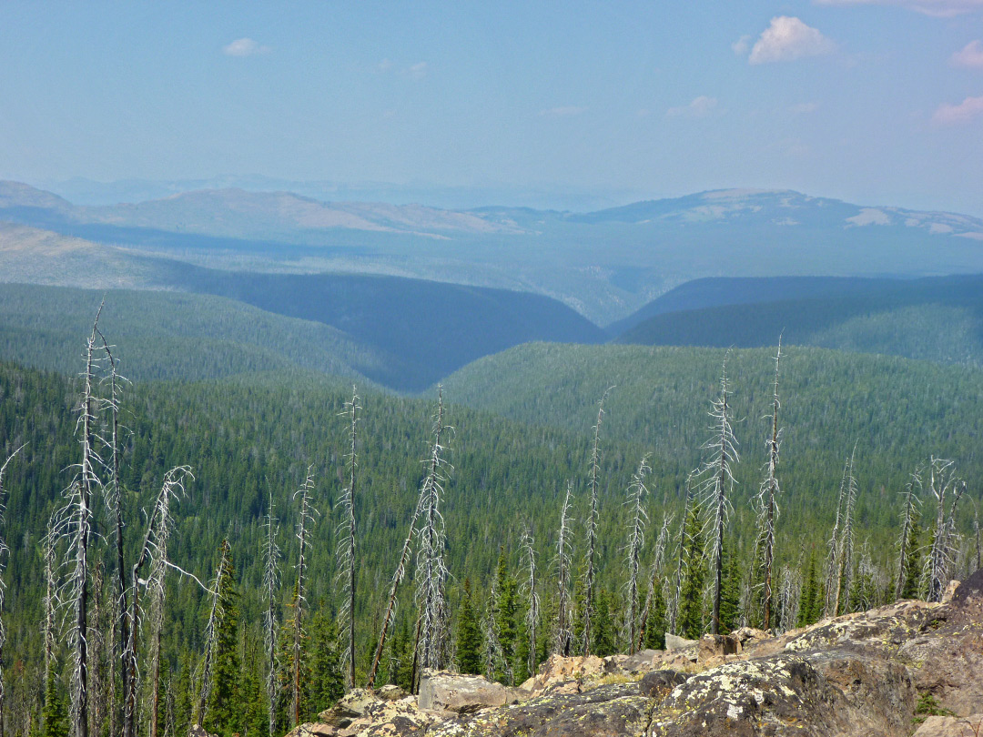 Valley of Tower Creek