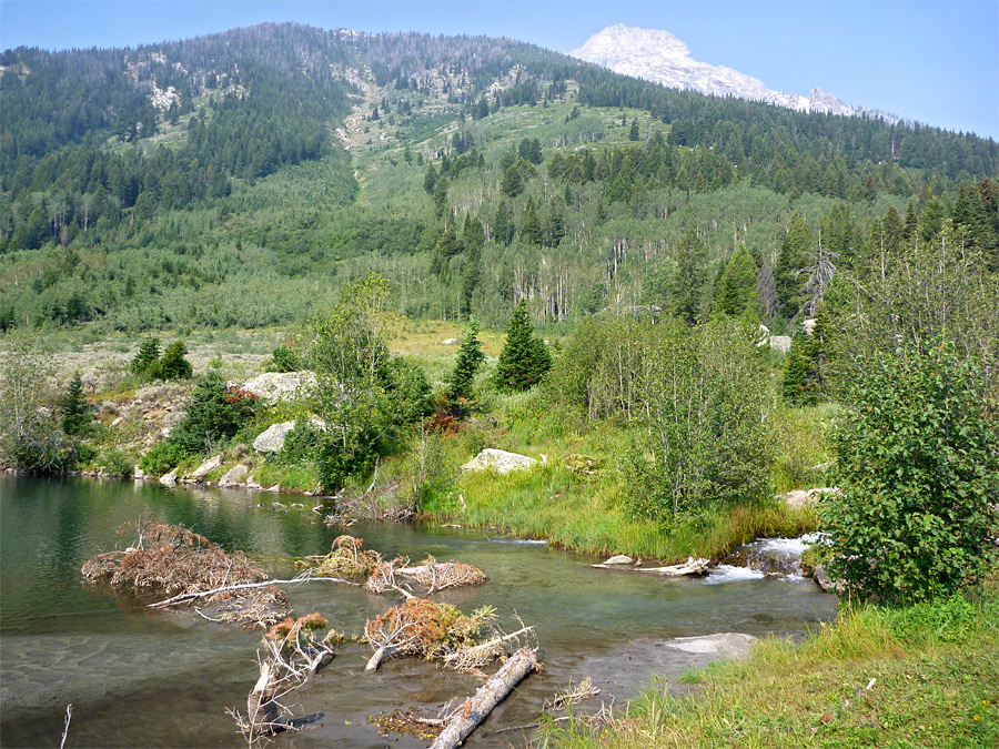 Trapper Lake inlet stream