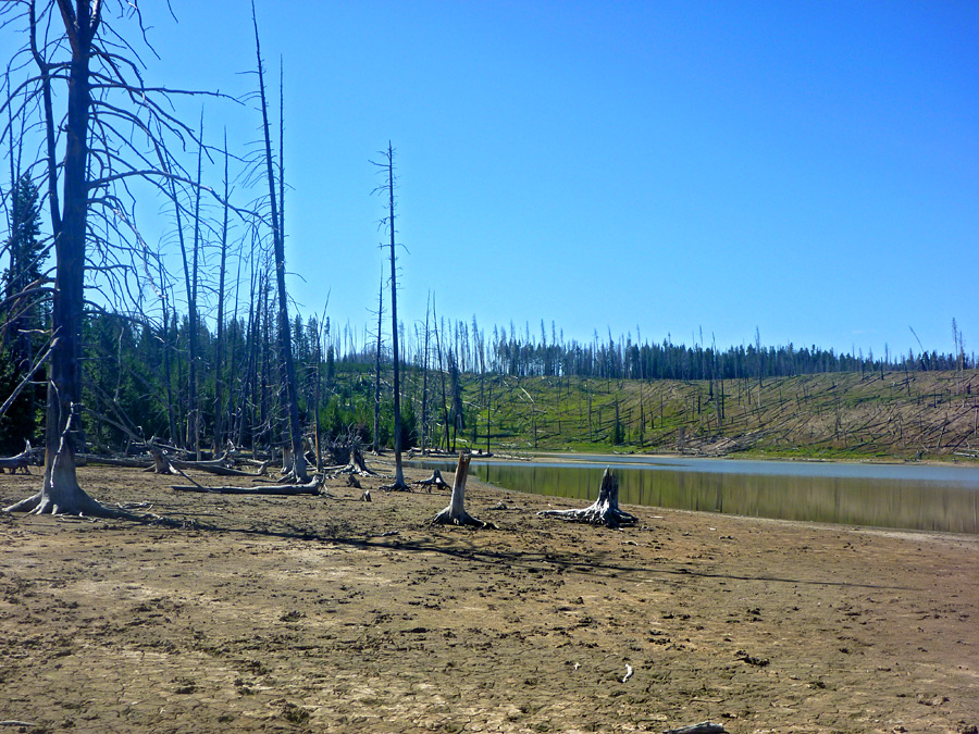 Mud flats by Turbid Lake