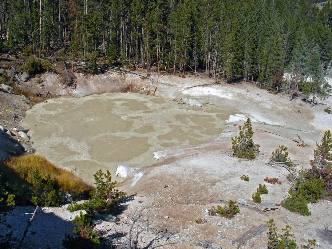 Turbulent Pool