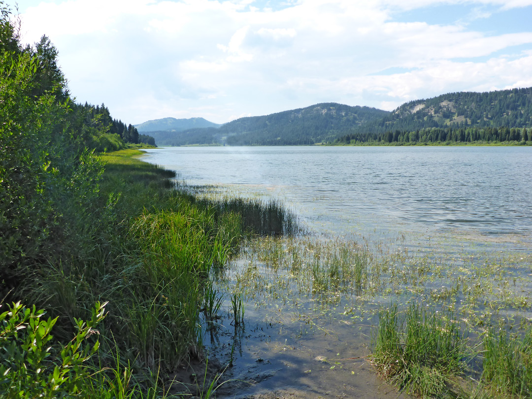 Southern shoreline