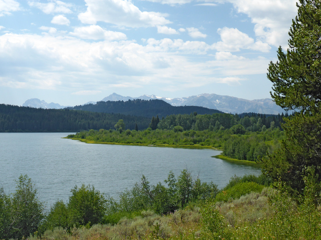 The Tetons