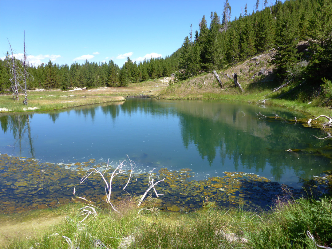 Big, greenish pool