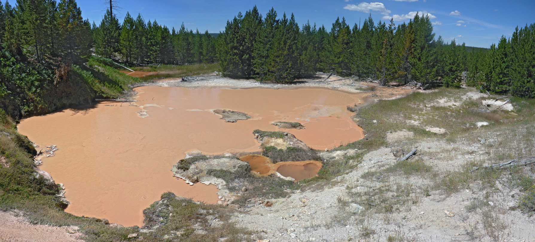 Large, brownish pool