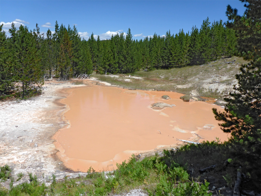 Orange-brown pool