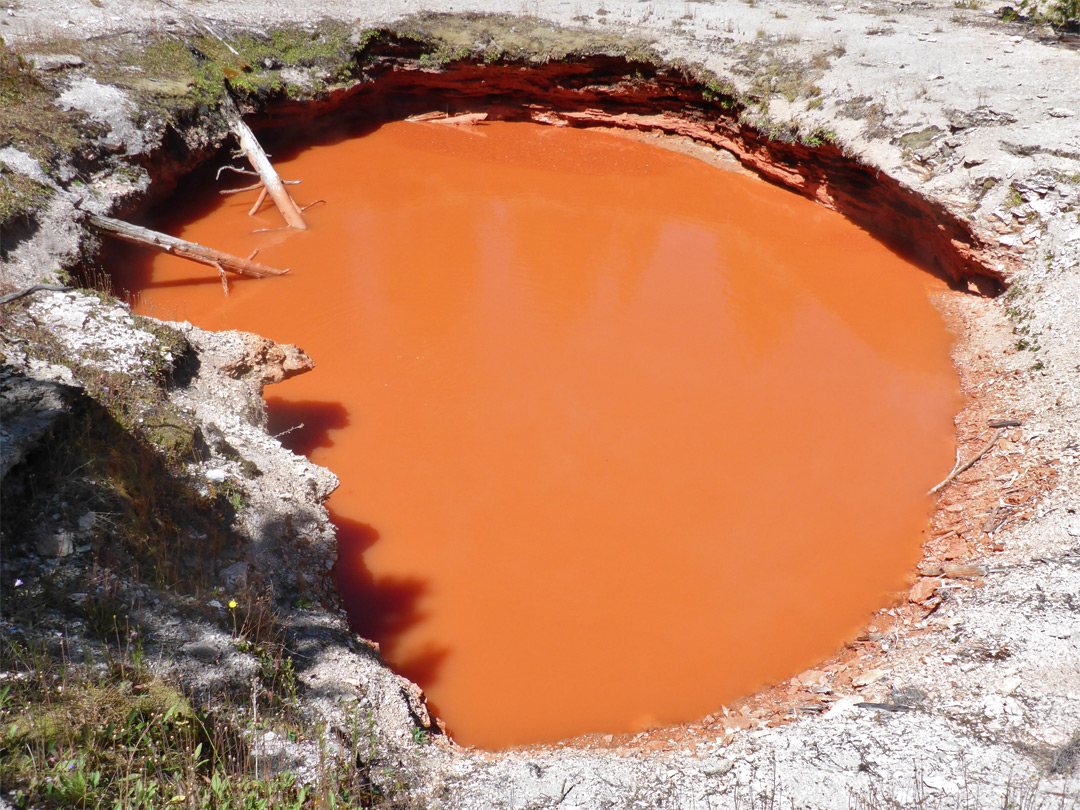 Circular red pool