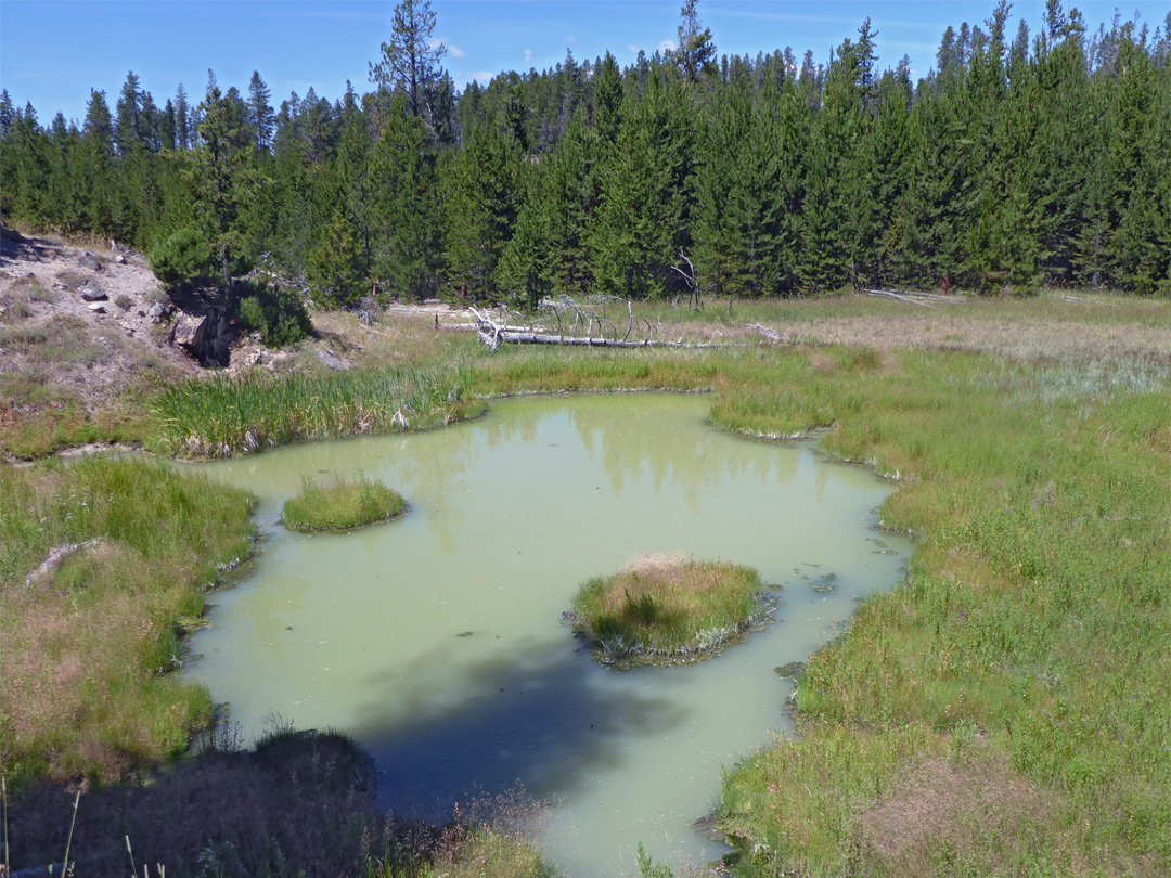 Cloudy green pool