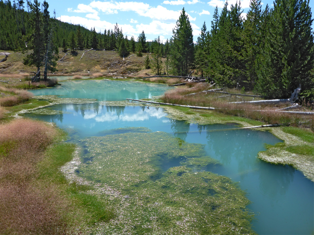 Turquoise pools