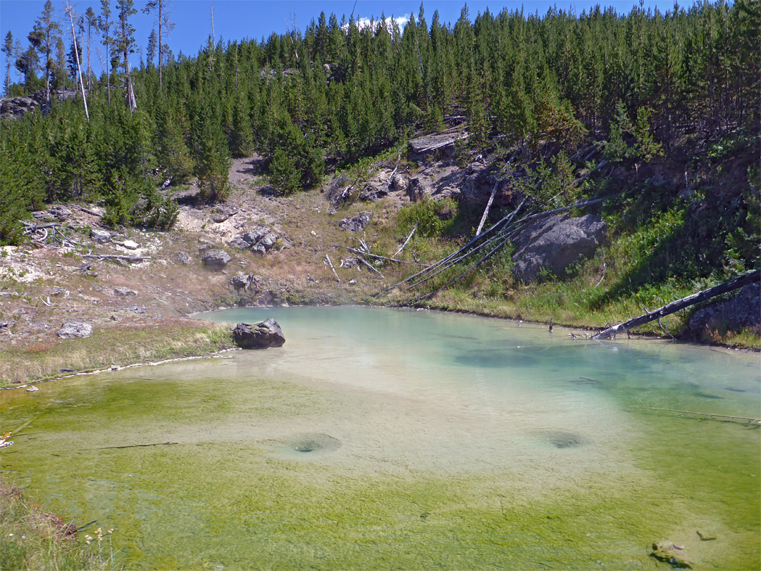 Shallow water pool