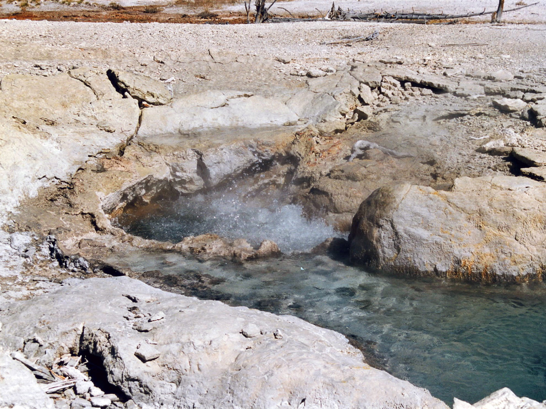 Veteran Geyser