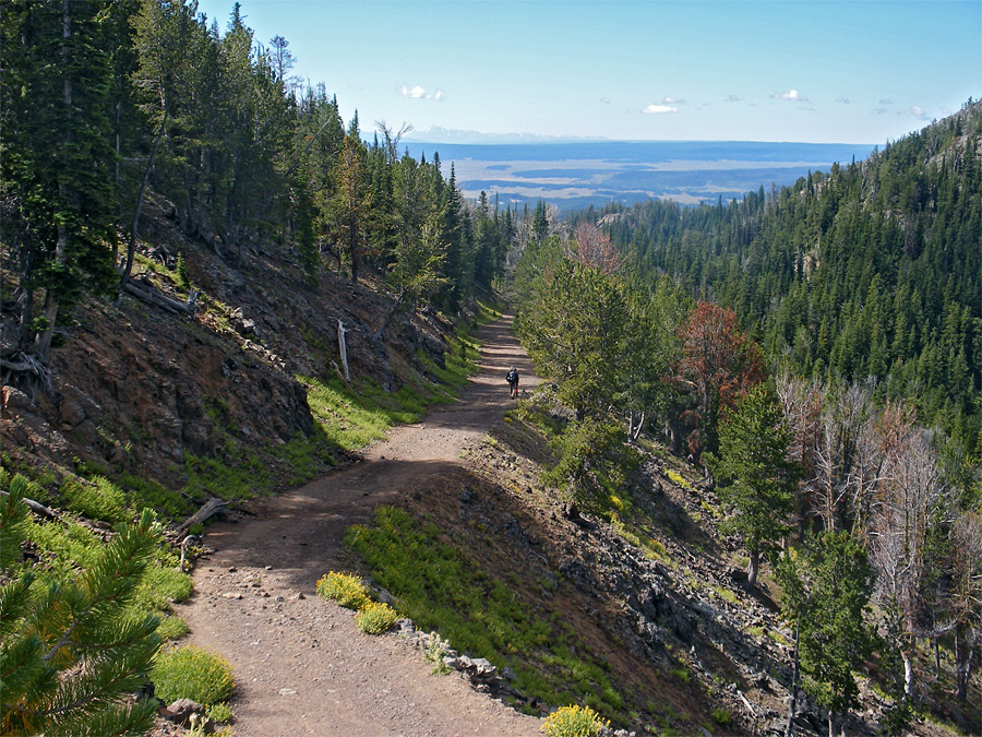 Path up the hillside