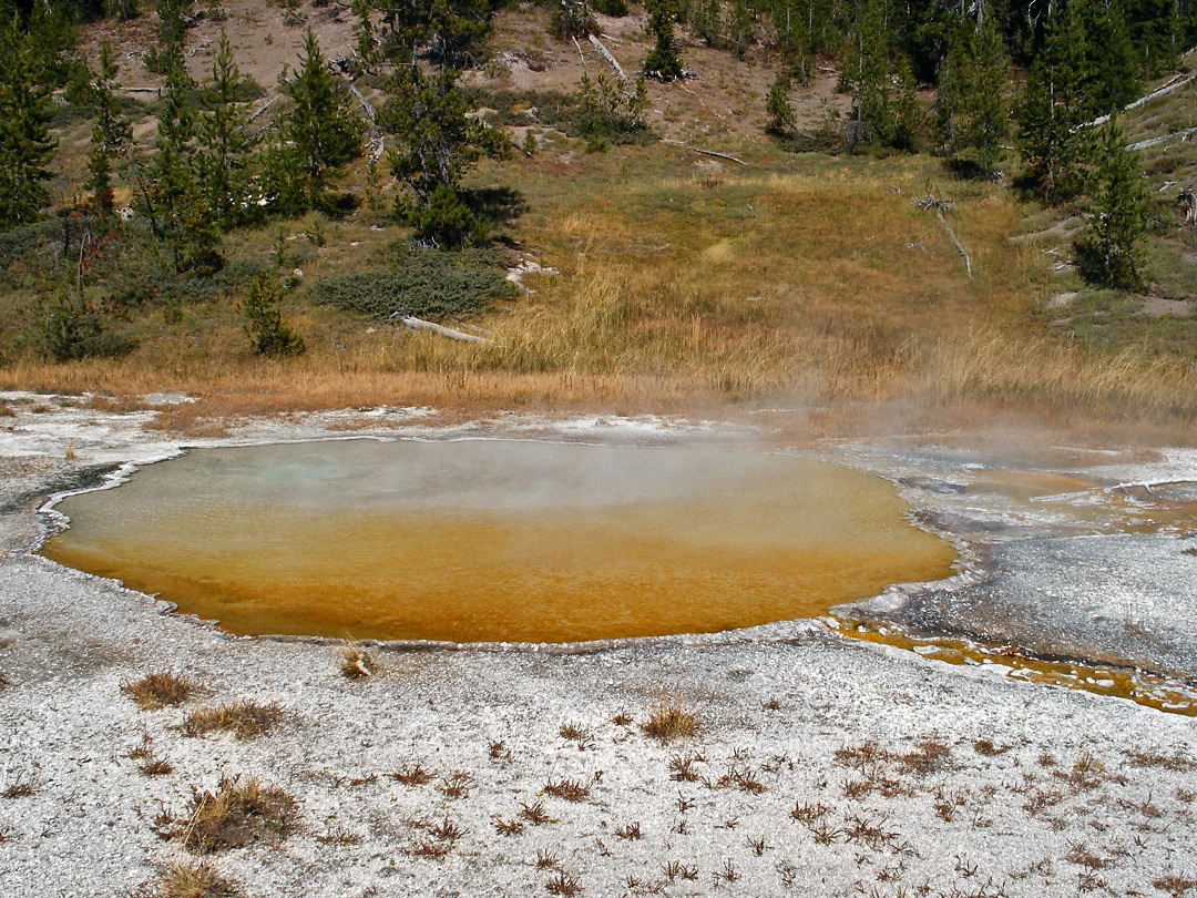 Shallow orange pool