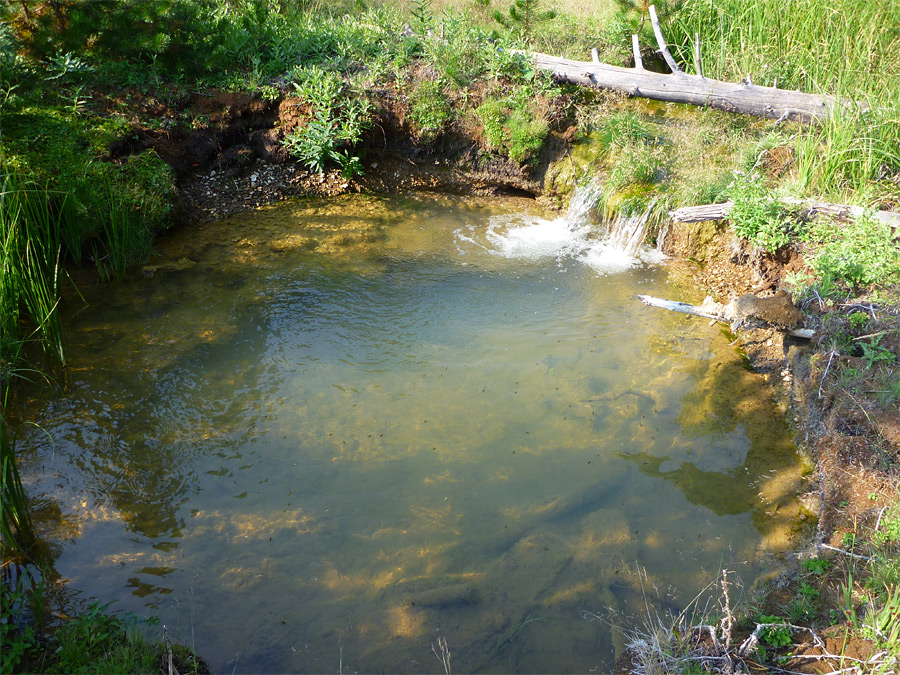 Cold water pool