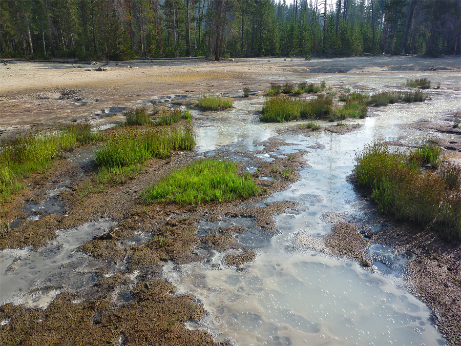 Northern section of Whiterock Springs